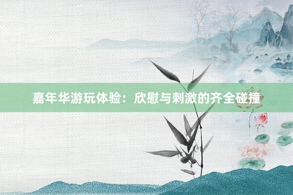 嘉年华游玩体验：欣慰与刺激的齐全碰撞